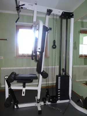 Das Fitnesscenter und/oder die Fitnesseinrichtungen in der Unterkunft Haus Alpina Ski In & Ski Out