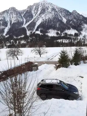 Rulfik im Winter