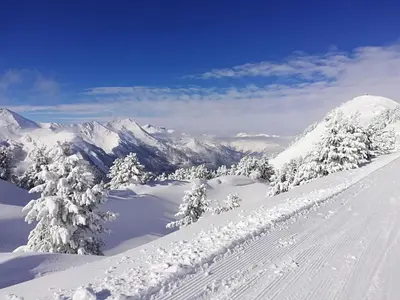 Brandstättergut im Winter