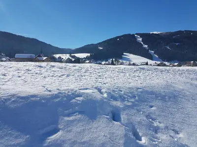 Grundriss der Unterkunft Residenz Monica Top 8