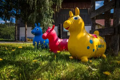 Tiere in diesem Bauernhof oder in der Nähe