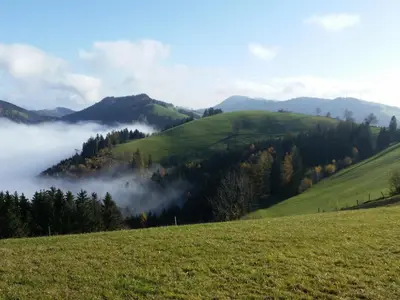Naturlandschaft in der Nähe des Bauernhofs