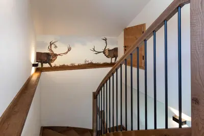 Grundriss der Unterkunft CHALET MONTIS