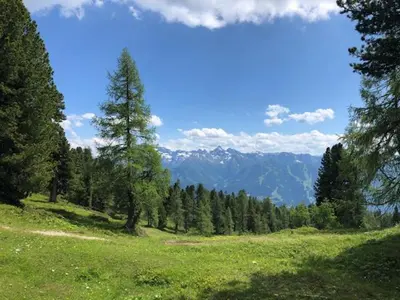 Naturlandschaft in der Nähe der Pension