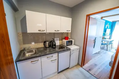 Küche/Küchenzeile in der Unterkunft Appartement Stelo Gosau-Hallstatt