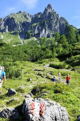 Naturlandschaft in der Nähe der Ferienwohnung