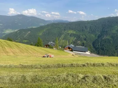 Naturlandschaft in der Nähe des Bauernhofs