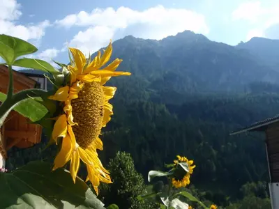 Ein allgemeiner Bergblick oder ein Berglick von der Ferienwohnung aus