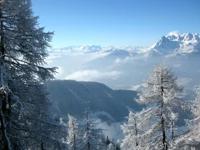 Naturlandschaft in der Nähe der Pension