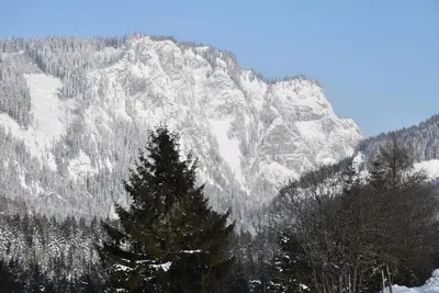 Ein allgemeiner Bergblick oder ein Berglick von des Ferienhauses aus