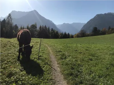 Naturlandschaft in der Nähe der Ferienwohnung
