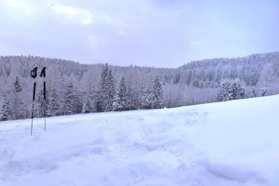 Gasthof Hirschenwirt im Winter
