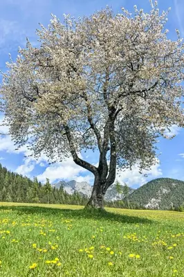 Naturlandschaft in der Nähe des Ferienhauses