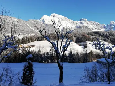 Naturlandschaft in der Nähe der Ferienwohnung