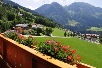Naturlandschaft in der Nähe der Ferienwohnung
