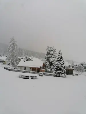 Strausshaus im Winter
