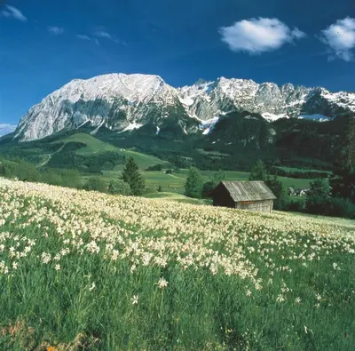 Naturlandschaft in der Nähe des Privatzimmers