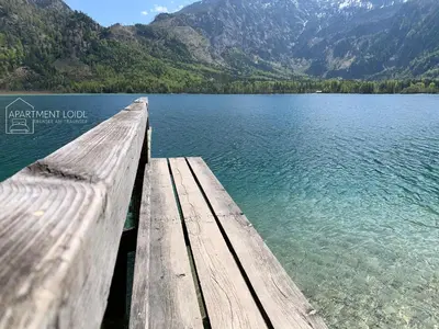 Naturlandschaft in der Nähe der Ferienwohnung