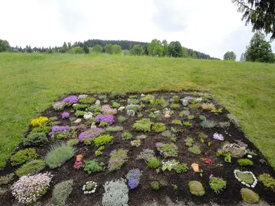 Ein Garten an der Unterkunft Maierlhof