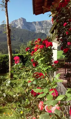 Ein allgemeiner Bergblick oder ein Berglick von der Ferienwohnung aus