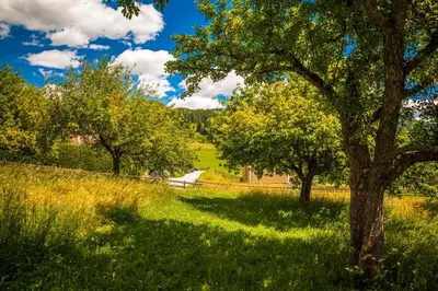 Ein Garten an der Unterkunft Lenzbauer