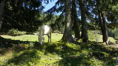 Naturlandschaft in der Nähe der Ferienwohnung