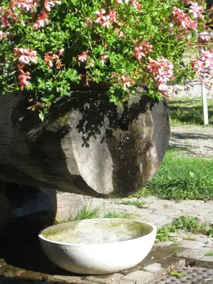 Ein Garten an der Unterkunft Chalet Auer's Zuahäusl