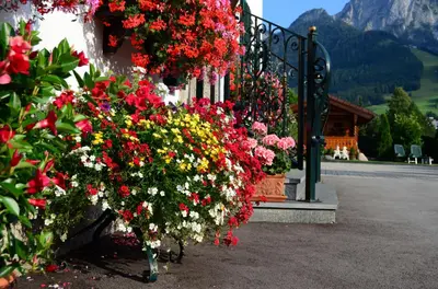 Ein allgemeiner Bergblick oder ein Berglick von des Privatzimmers aus