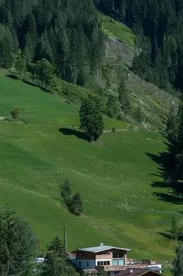Naturlandschaft in der Nähe der Ferienwohnung