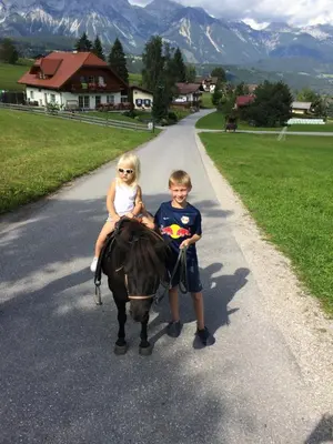 Tiere in diesem Bauernhof oder in der Nähe