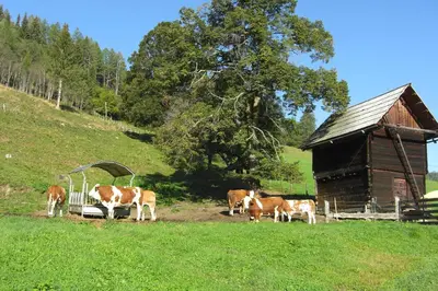 Naturlandschaft in der Nähe des Bed & Breakfasts