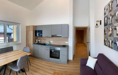 Küche/Küchenzeile in der Unterkunft Appartements Blumenwiese