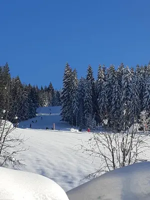 Kleinwidmoos-Apartment im Winter