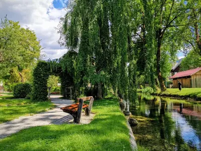 Naturlandschaft in der Nähe der Ferienwohnung