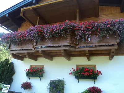 Ein Garten an der Unterkunft Gondelblick