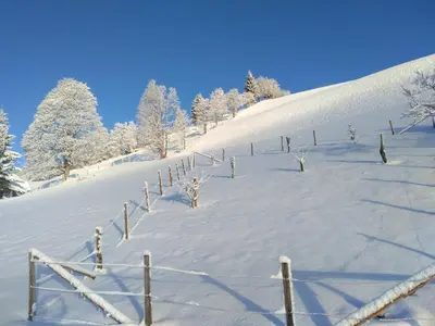 Haus Bucher im Winter