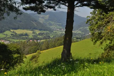 Naturlandschaft in der Nähe des Bed & Breakfasts