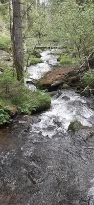 Naturlandschaft in der Nähe des Bed & Breakfasts