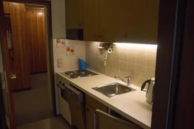 Küche/Küchenzeile in der Unterkunft Apartment 12 Grüner Baum Alpendorf