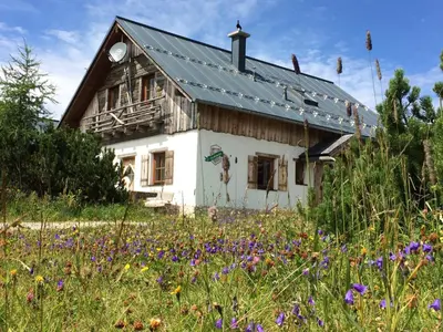 Ein Garten an der Unterkunft Almchalet Feuerkogel