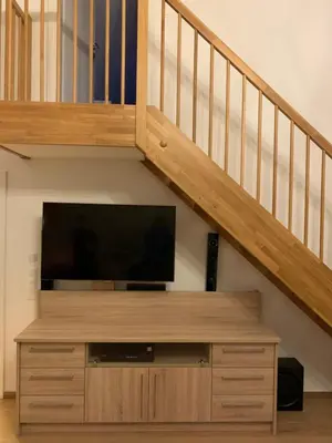 TV/Unterhaltungsangebot in der Unterkunft Alpenlodge Haus im Ennstal