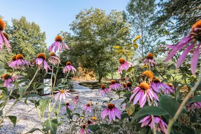 Ein Garten an der Unterkunft Ferienhaus Spitzenhof - Urlaub am Bauernhof