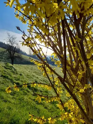 Naturlandschaft in der Nähe der Ferienwohnung