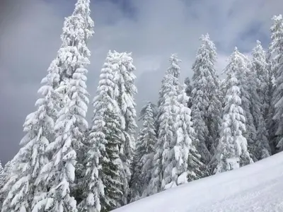 Schneckenhaus Dachstein West im Winter