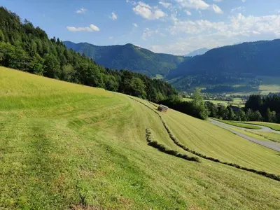 Naturlandschaft in der Nähe der Ferienwohnung