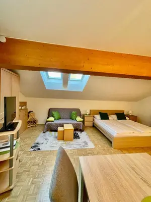 TV/Unterhaltungsangebot in der Unterkunft Apartment Ladinger