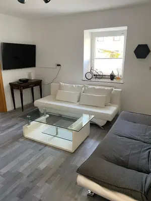 TV/Unterhaltungsangebot in der Unterkunft Nice Flat in Gmunden