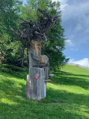 Naturlandschaft in der Nähe der Ferienwohnung