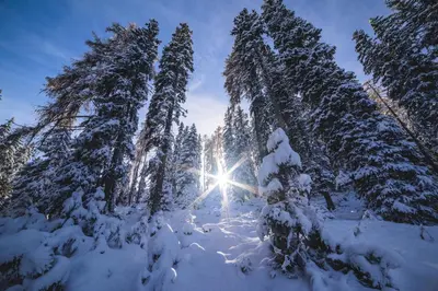 Naturparkhütte Mandl im Winter