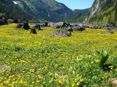 Naturlandschaft in der Nähe des Ferienhauses